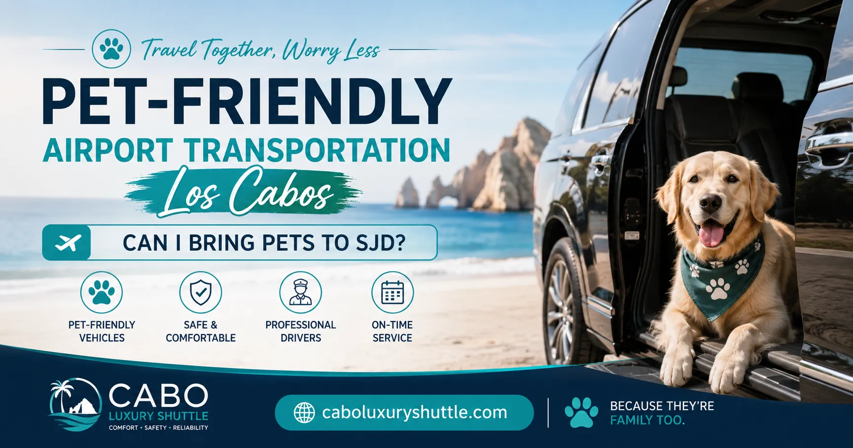 Pet-Friendly Airport Transportation Los Cabos Can I Bring Pets to SJD_resultado